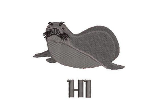 Hawaiian Monk Seal HI Review