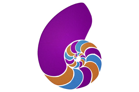 Multi Color Shell